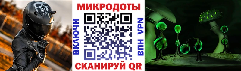 Купить где  Кириши  Галлюциногенные грибы ЛСД 